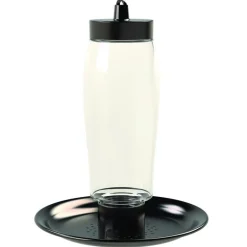 Perky-Pet Wild Bird and Finch 2 lb. Glass Decorative Bird Feeder (Pack of 2)