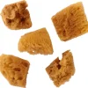 Plaid FoldArt Assorted Sea Sponge