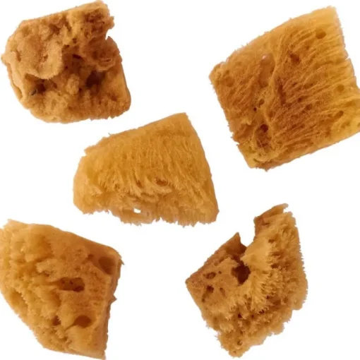 Plaid FoldArt Assorted Sea Sponge