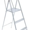 Platform Ladder 5' Alum