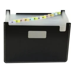 13-POCKT EXPNDG FILE BLK