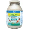 POND CLEANER 9.6LB