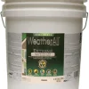Premium Extreme Exterior Paint/Primer In One, WAESGN, Semi-Gloss, Tint Base, Gallon (Pack of 4)