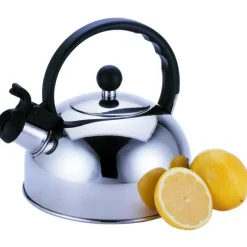 Primula Silver Stainless Steel 2.5 qt Tea Kettle