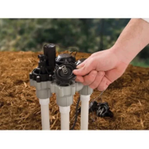 Rain Bird Anti-Siphon Valve 1 in. 150 psi