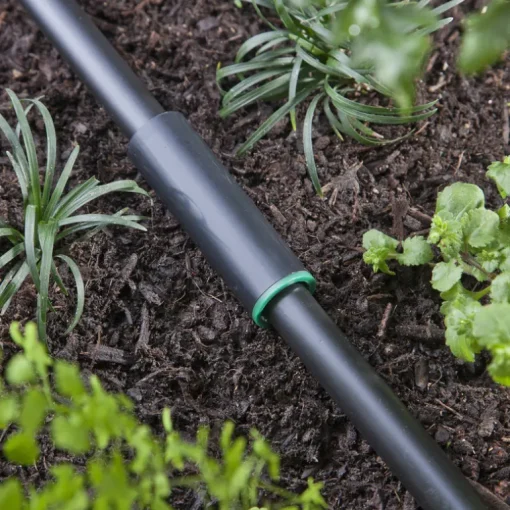 Raindrip 1/2 in. Compression Drip Irrigation Coupler 1 pk