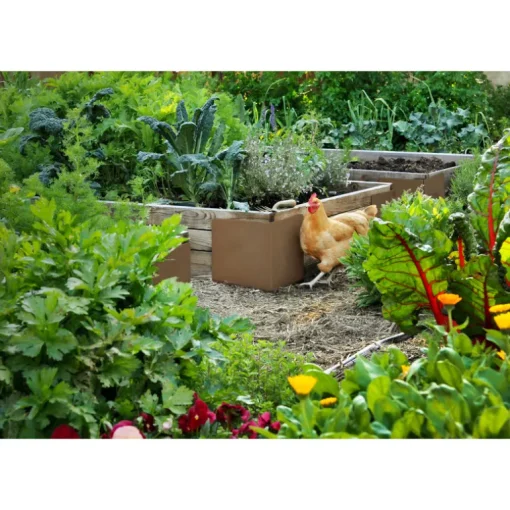 RAISED BED BRACE BND 4PK