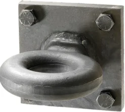 Reese Towpower 42000 lb. cap. Lunette Ring