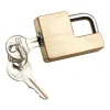 Reese Towpower Coupler Lock