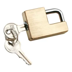 Reese Towpower Coupler Lock