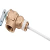 Reliance 3/4 in. MNPT Brass Relief Valve