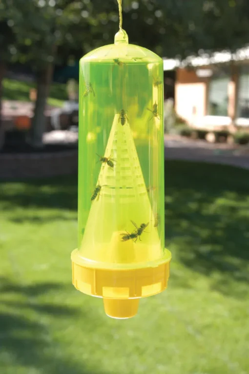 RESCUE Yellow Jacket Trap