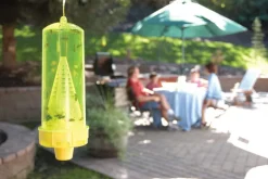 RESCUE Yellow Jacket Trap