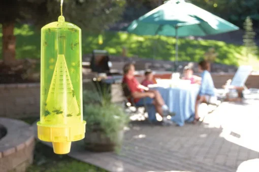 RESCUE Yellow Jacket Trap