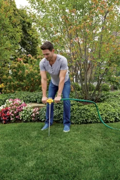 Ross 1200C Root Feeder for Watering and Fertilizing Outdoor Trees