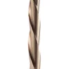 RotoZip Guidepoint 2-3/8 in. L High Speed Steel Guide Point Zip Bit 16 pc