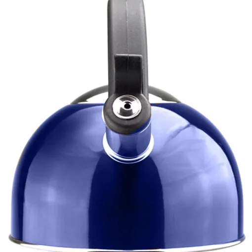 Sabal Blue Stainless Steel 2.1Qts. Tea Kettle