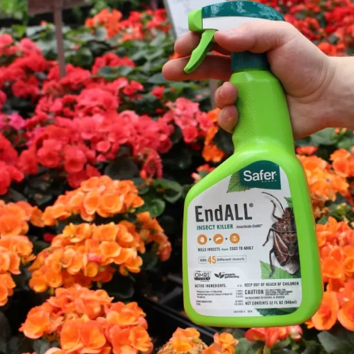 Safer Brand EndALL Organic Crawling/Flying Insects Insect Killer 32 oz. for Outdoor Use