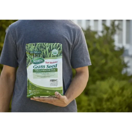 Scotts Turf Builder Tall Fescue Grass Sun or Shade Fertilizer/Seed/Soil Improver 2.4 lb