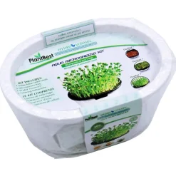SEED STARTER KIT 1PK