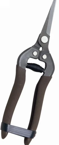 SHEARS BLACK 7"L