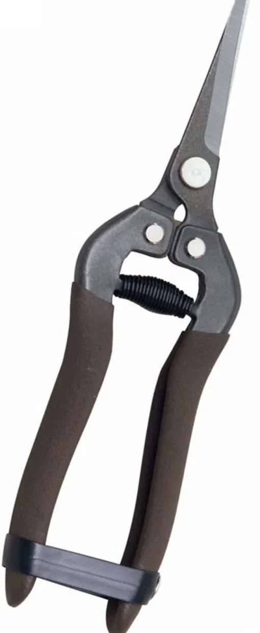 SHEARS BLACK 7"L