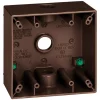 Sigma Engineered Solutions New Work 31 cu in Square Metallic 2 gang Weatherproof Box Bronze
