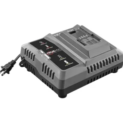 SKIL TrueHVL SPTH14 48 V Lithium-Ion Quick Charger 1 pc
