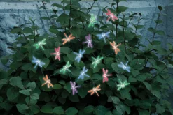 Smart Solar LED Light Set Multicolored 215 in.