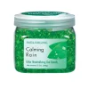 Smells Begone Calming Rain Scent Odor Absorber 12 oz. Gel (Pack of 6)