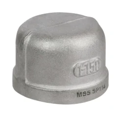 Smith-Cooper 2 in. FPT Stainless Steel Cap