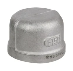 Smith-Cooper 1-1/4 in. FPT X 1-1/4 in. D FPT Stainless Steel Cap