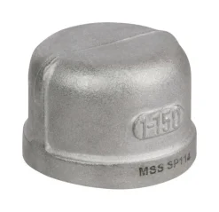 Smith-Cooper 1-1/2 in. FPT X 1-1/2 in. D FPT Stainless Steel Cap