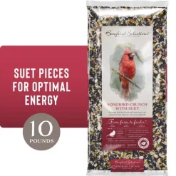 Songbird Selections Songbird Crunch Wild Bird Seed Wild Bird Food 10 lb