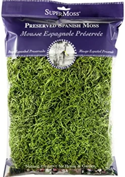 SPANISH MOSS GRN 200CI