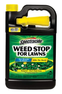 Spectracide Post Emergent 1000 sq. ft. Coverage Area Lawn Weed Killer 1 gal.