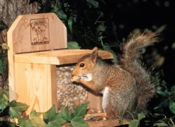 SQUIRREL FEEDER BROWN 7"