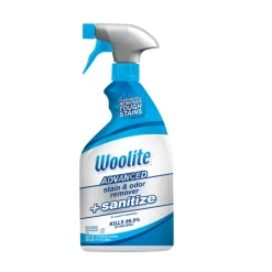 STAIN & ODOR REMVR 22OZ