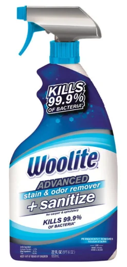 STAIN & ODOR REMVR 22OZ