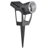 Sterno Home Black Solar Powered 0 W LED Spotlight 12 pk (Pack of 12)