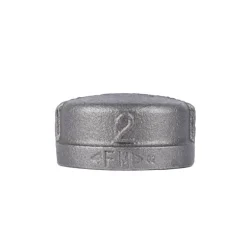STZ Industries 2 in. FIP each Black Malleable Iron Cap
