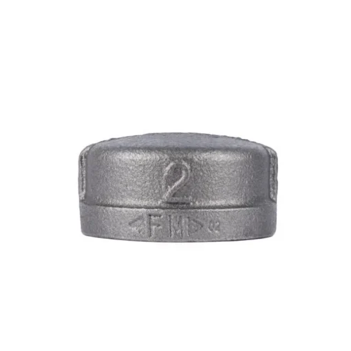 STZ Industries 2 in. FIP each Black Malleable Iron Cap
