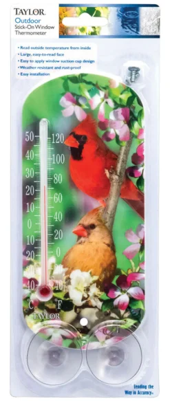 Taylor Bird Design Tube Thermometer Plastic