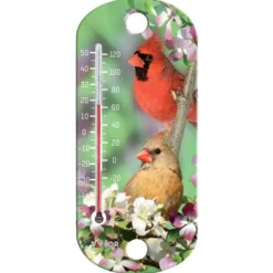 Taylor Bird Design Tube Thermometer Plastic