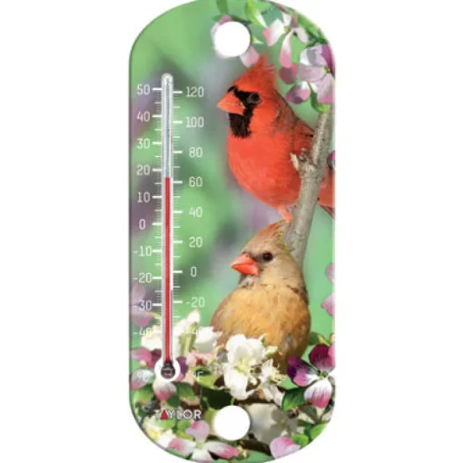 Taylor Bird Design Tube Thermometer Plastic