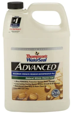 Thompsons Waterseal Advanced Natural Long Lasting Wood Protector 1 gal. (Pack of 2)