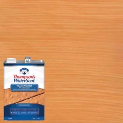 Thompson's WaterSeal Transparent Natural Cedar Waterproofing Wood Stain and Sealer 1 gal