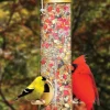 TUBE BIRD FEEDER 1.25QT