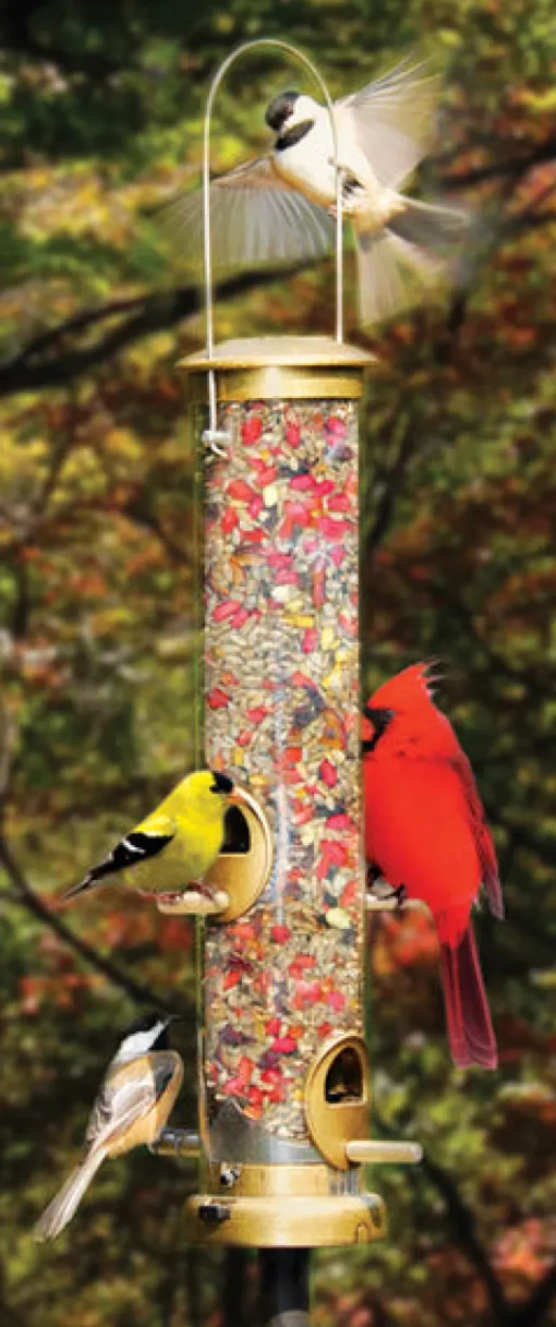 TUBE BIRD FEEDER 1.25QT