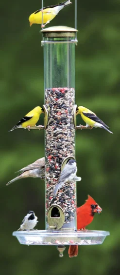 TUBE BIRD FEEDER 1.75QT